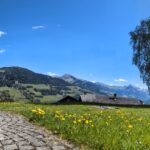 PXL_20250502_090402537.PANO